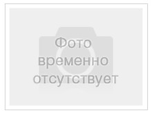 птичка в клетке-7000р